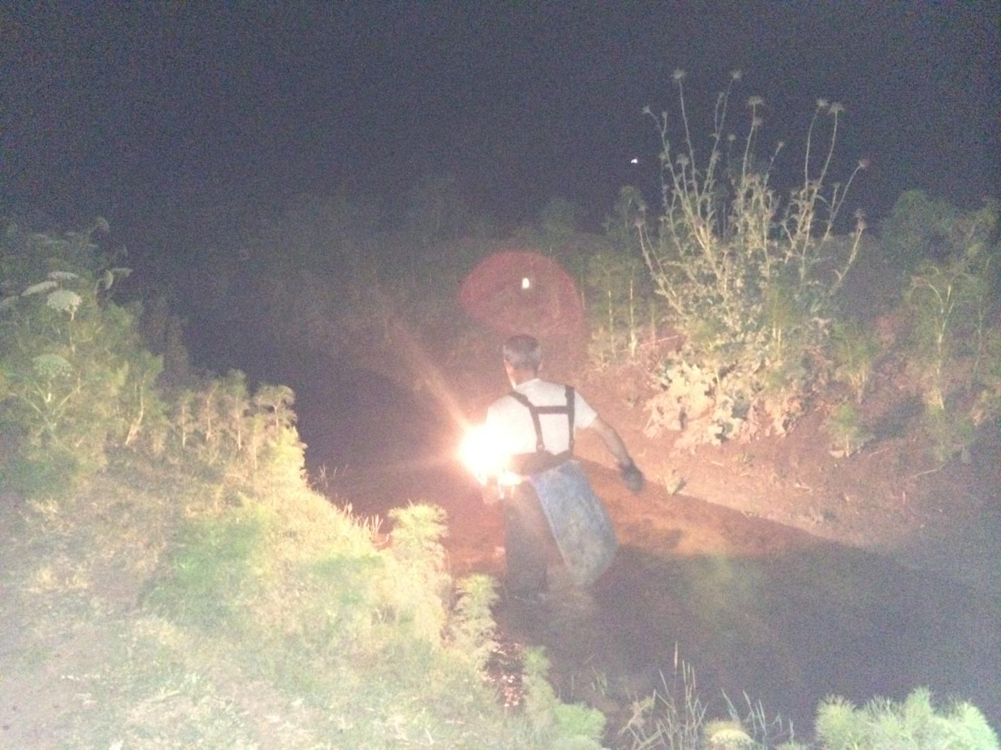 Harvester Collecting Frogs