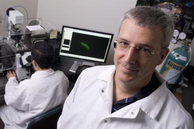 USF Public Health Researcher John Adams with Image of Malaria Parasite