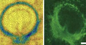 computer simulation vs experiment