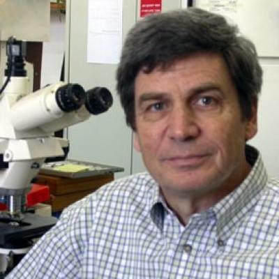 Professor Uri Oron, Tel Aviv University 