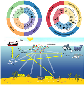 Graphical abstract