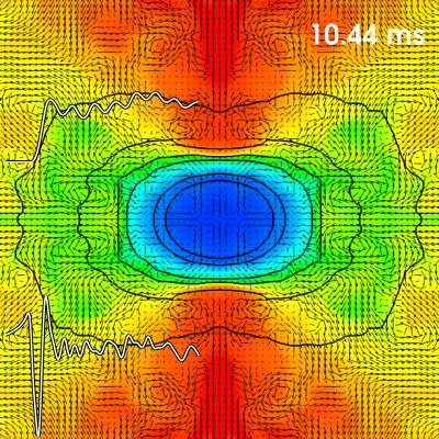 The Core of a Collapsing, Rapidly Spinning Massive Star