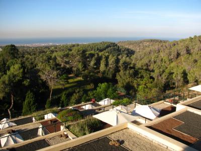 Resort before the Fire