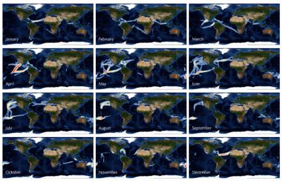 Month-by-month Maps of Sailing Yacht Transits Around the World