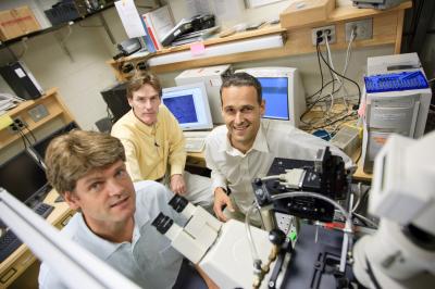 Lab-on-Bead Development