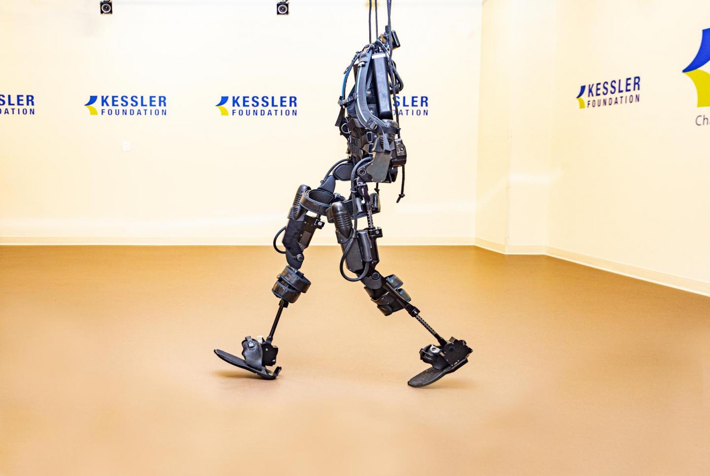 A robotic exoskeleton used in spinal cord injury research