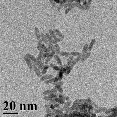 Cadmium Selenide Quantum Dots Degrade in Soil, Releasing Their Toxic Guts