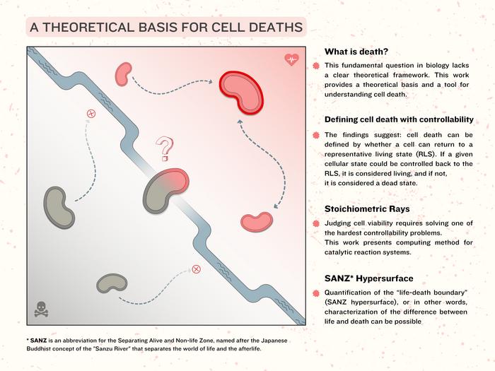 A theoretical basis for cell deaths