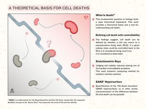 A theoretical basis for cell deaths