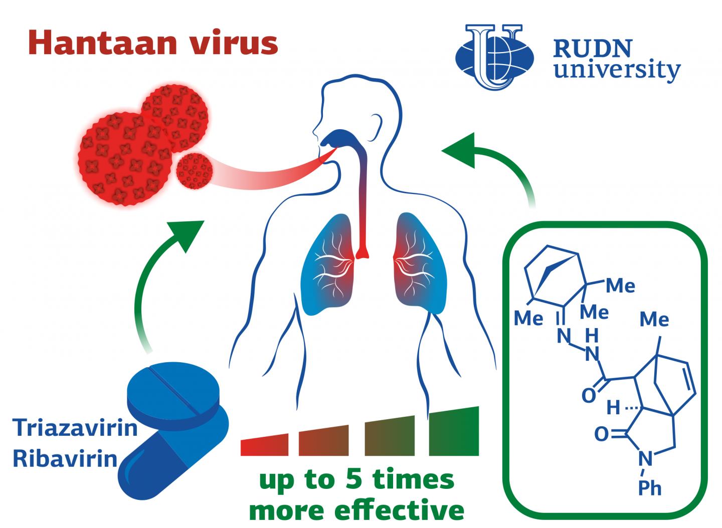 RUDN University Chemists Created Anti-Hantavirus Drugs 5 Times More Efficient Than Existing Drugs