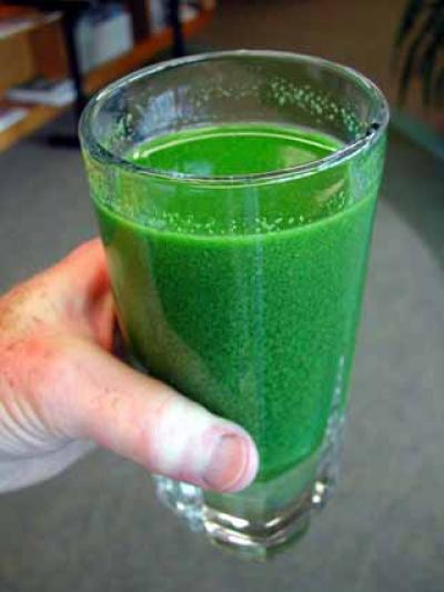 Algae Shake