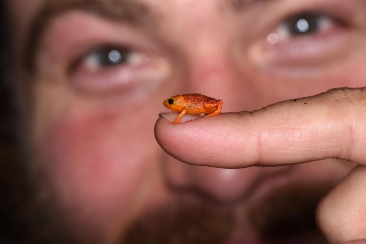 Jordan Kueneman, STRI Postdoctoral Fellow