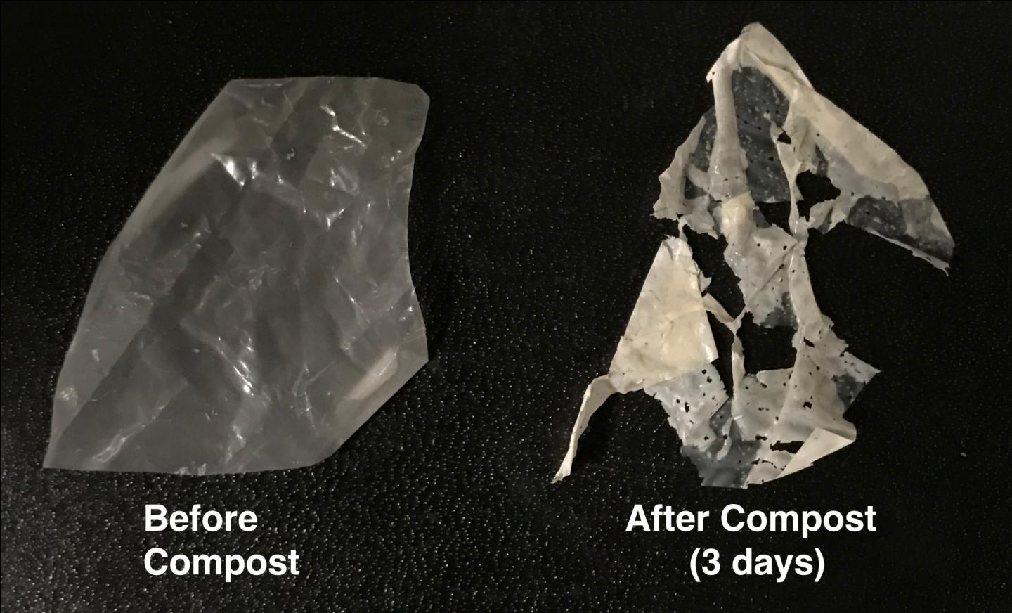 Polymer degradation in compost