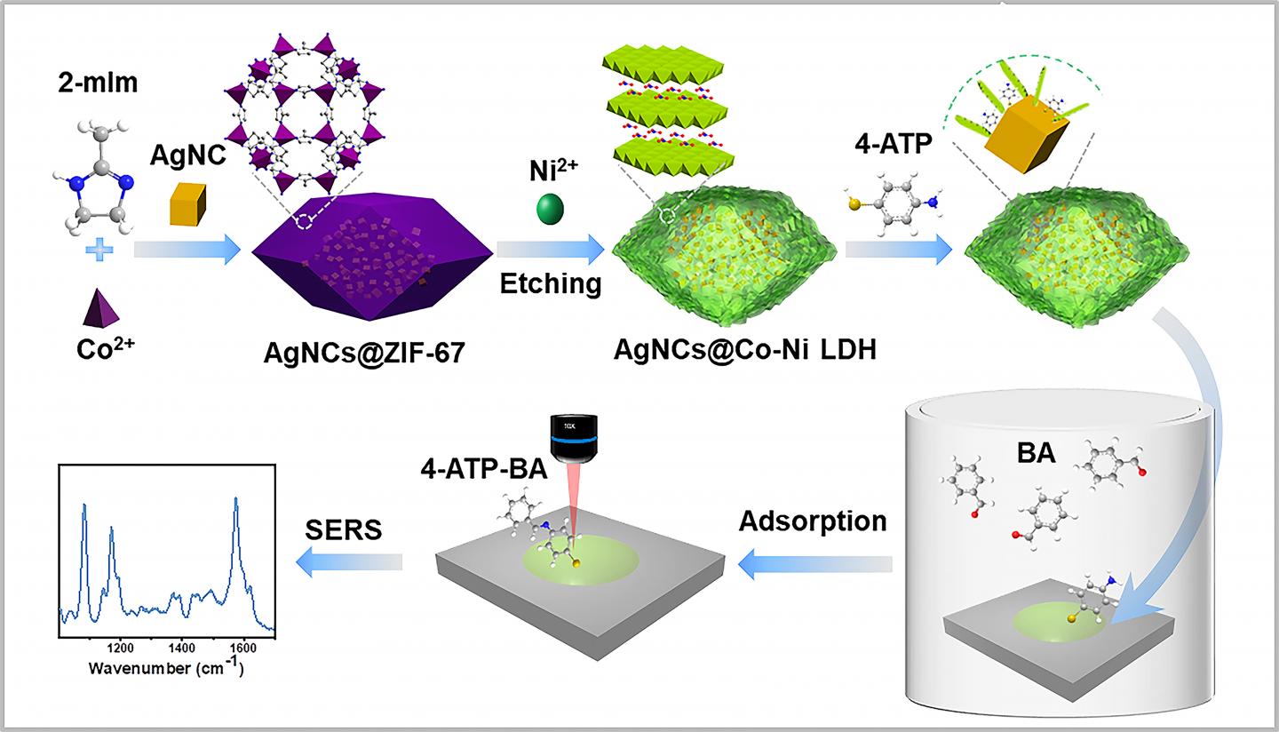 Novel SERS Sensor Helps to Detect Aldehyde Gases