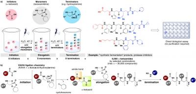 Synthetic Fermentation