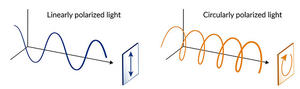 Two types of polarized laser light