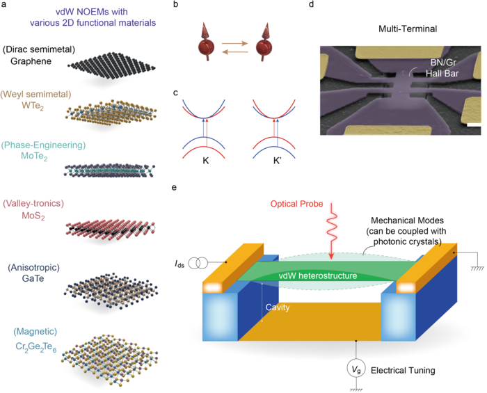 Figure 2. Perspectives of the vdW heterostructure NOEMS