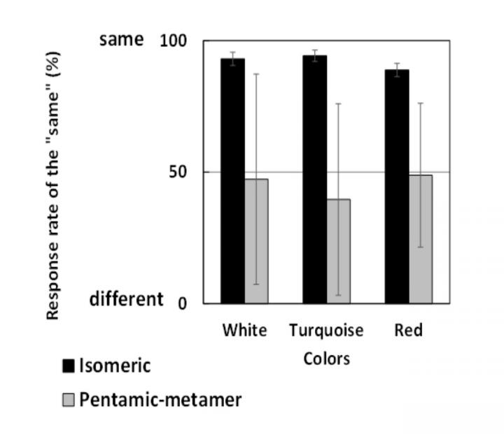 Comparison of results for isomeric and pentamic-metamer conditions