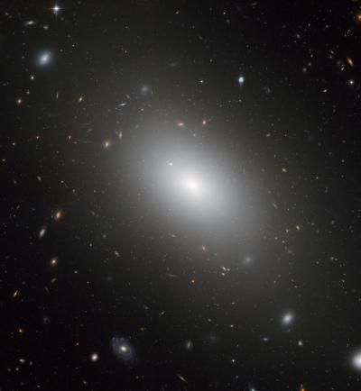 The Gargantuan Galaxy NGC 1132
