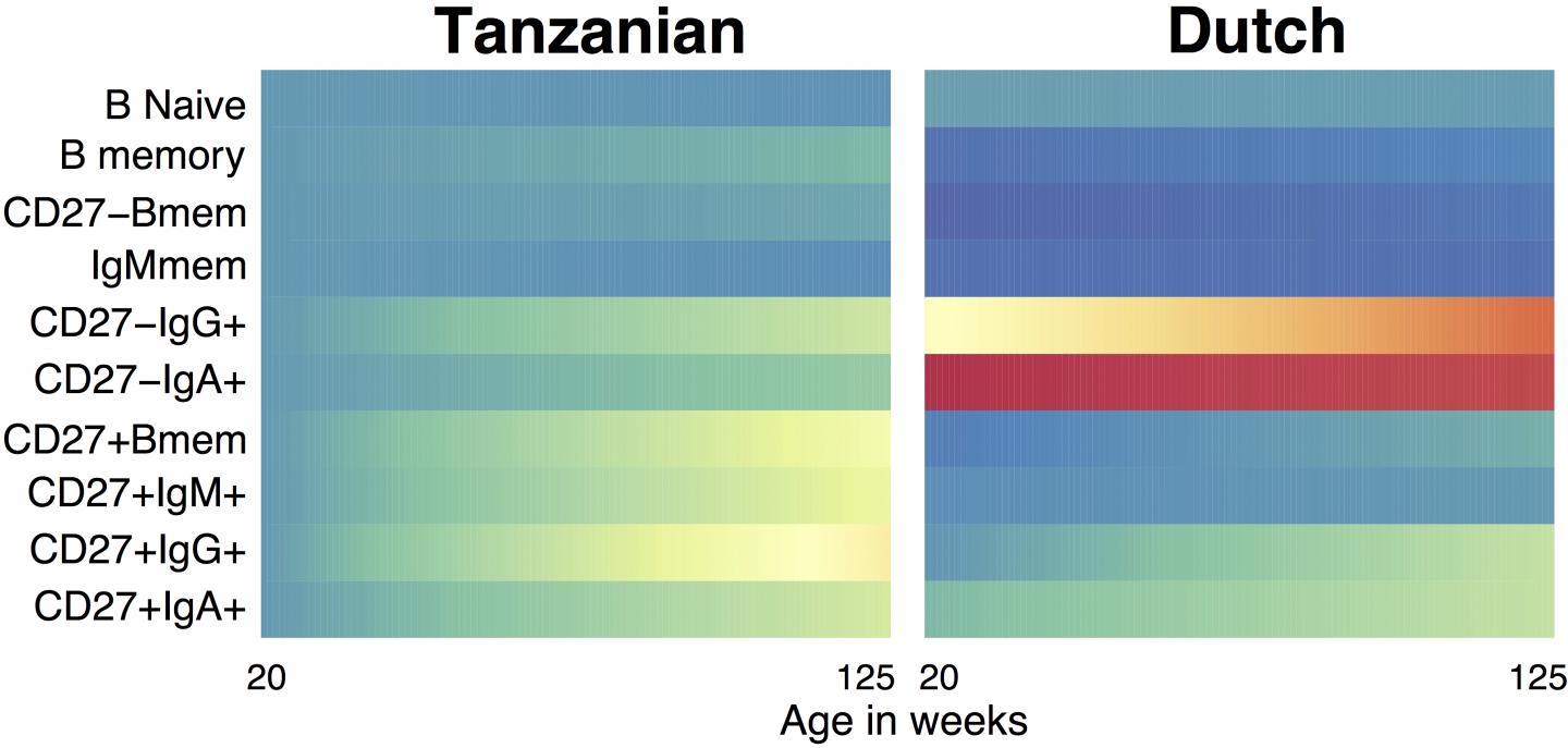 Geography, Age and Anemia Shape Childhood Vaccine Responses in Sub-Saharan Africa (3 of 4)