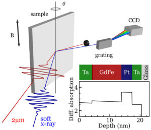 Schematic illustration of the experimental spectroscopy setup