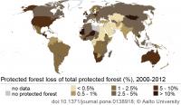 Protected Forest Loss Infographic