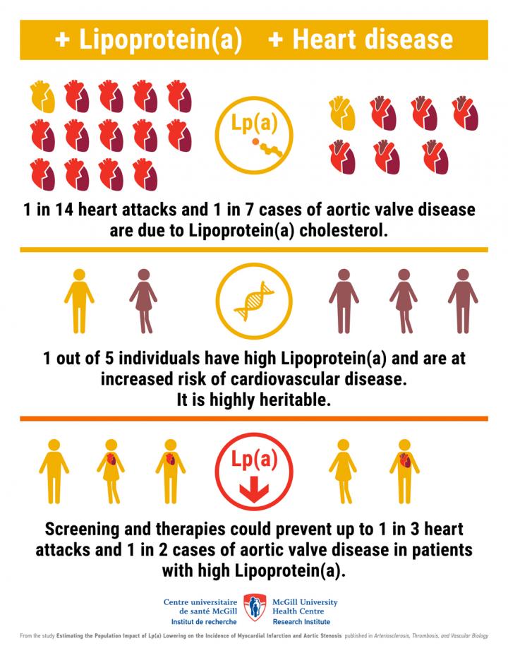 Hight Lipoproteine (a): Impact in Population