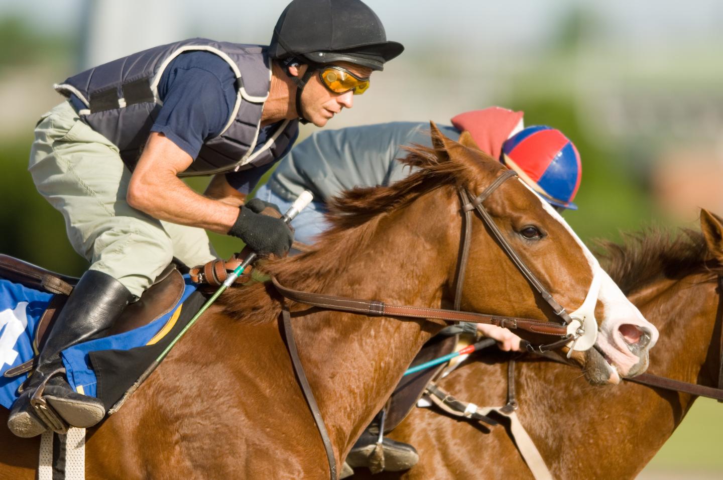 Jockey Riding a Racehorse
