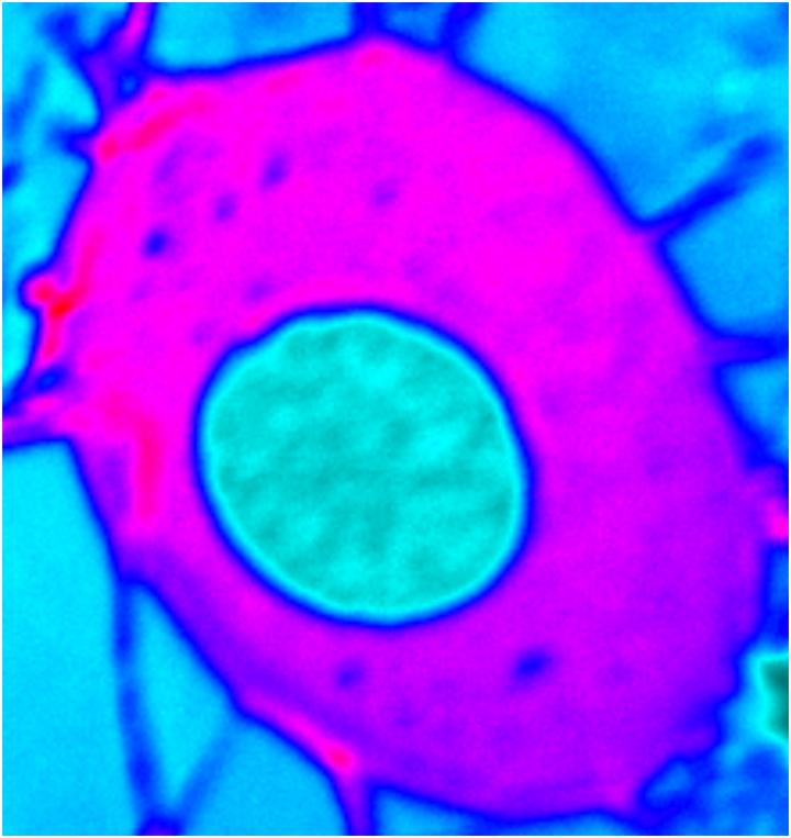 Experimentally Mimicking Earth's Core