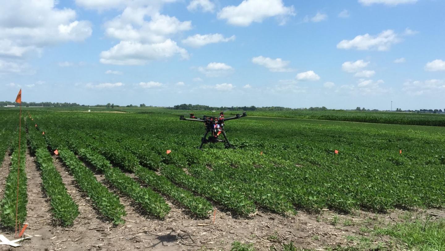 UAV in a Farm Field
