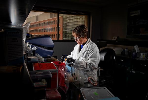 Linda Van Eldik, Sanders-Brown Center on Aging at the University of Kentucky