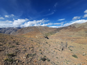 Long-term field experiment in the high-altitude Himalayan desert ecosystem in Spiti, Himachal Pradesh