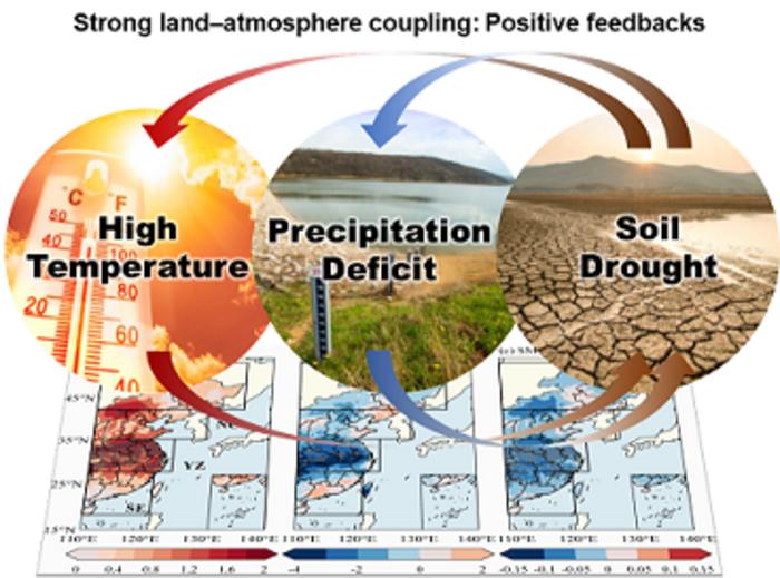 Local land–atmosphere coupling played an important role in the persistence of the compound extreme events over East China in 2022