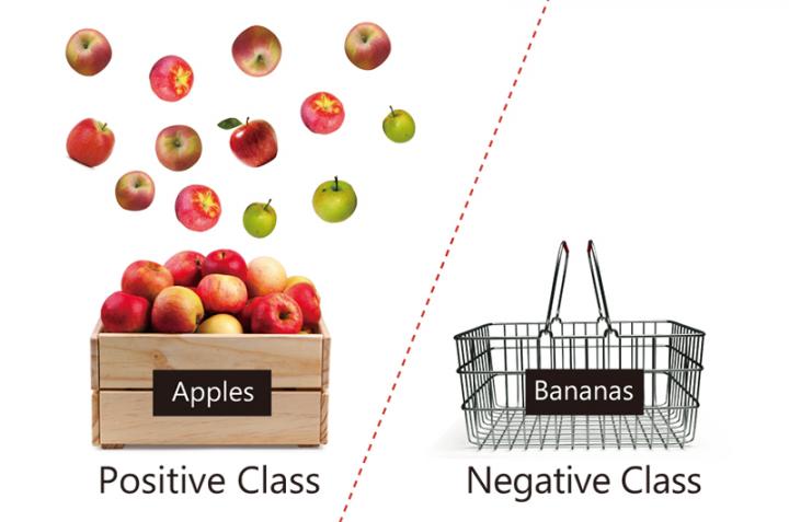 Schematic Showing Positive Data (Apples) and a Lack of Negative Data (Bananas)