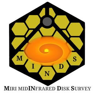 Logo of the MINDS Project