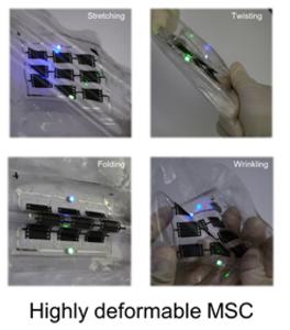 The photographs of highly deformable MSC