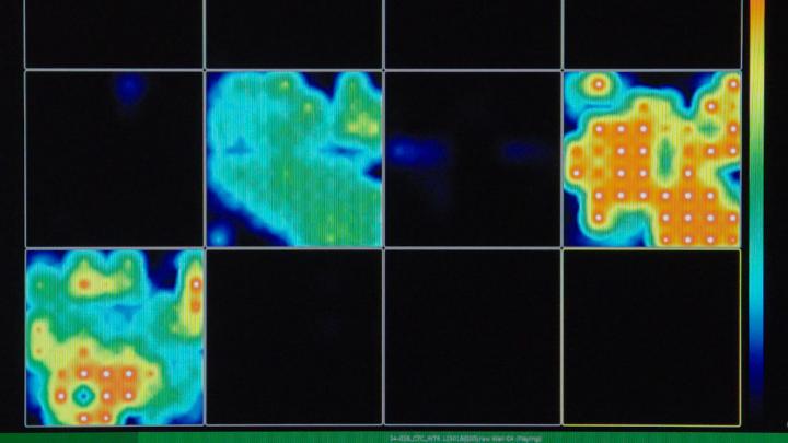 Brain Organoid Activity Map