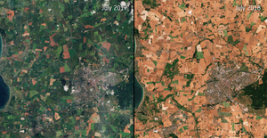 The scorching and browning of Denmark