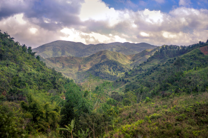 Forests around the Ambatovy mine