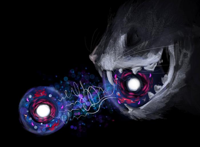 A Quantum Cat [IMAGE] | EurekAlert! Science News Releases