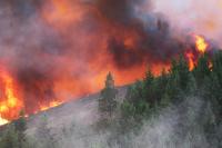 Oregon in Flames