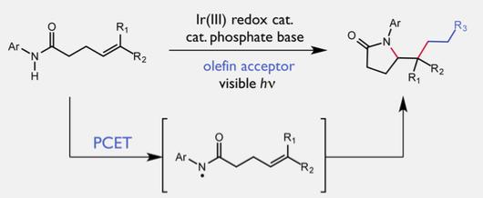 Catalytic Alkene Carboamination