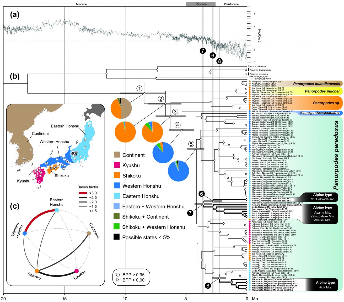 The Result of Historical Dispersal Pattern Estimation