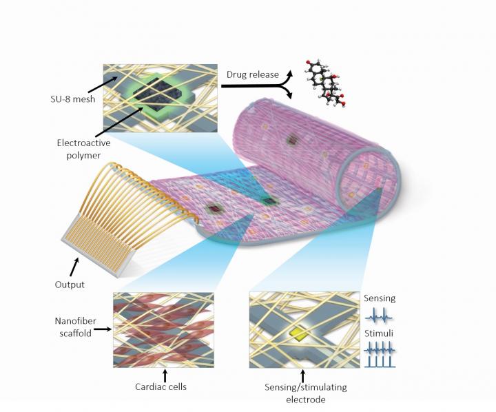 Cardiac Patch