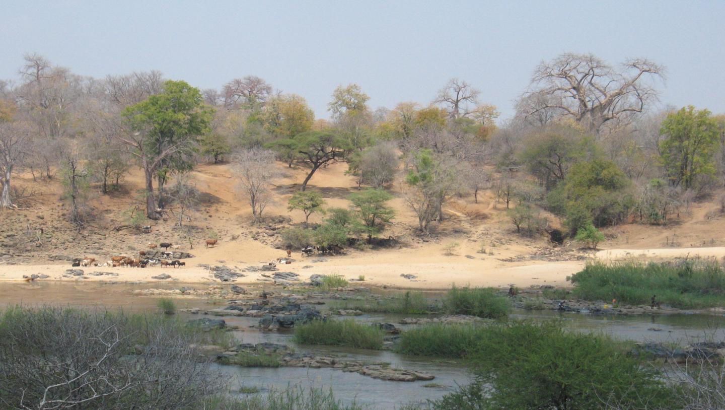 Picrite lava outcrops at the Luenha River, Central Mozambique.