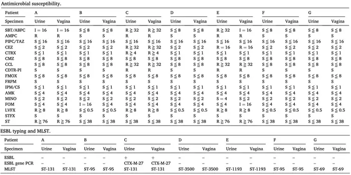 Pathogenic E. coli isolated from urine and vagina of patients with cystitis have similar sensitivity to antimicrobials and are genotypically identical