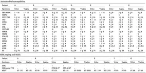 Pathogenic E. coli isolated from urine and vagina of patients with cystitis have similar sensitivity to antimicrobials and are genotypically identical