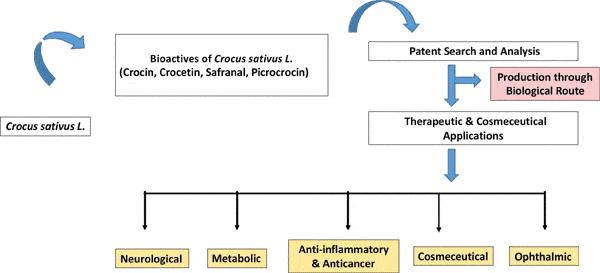 Patent Analysis Highlights Importance of Bioactives of Saffron