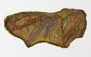 3D-model image of Shonisaurus ichthyosaur fossil bed from above in Quarry 2, Berlin-Ichthyosaur State Park, Nevada.