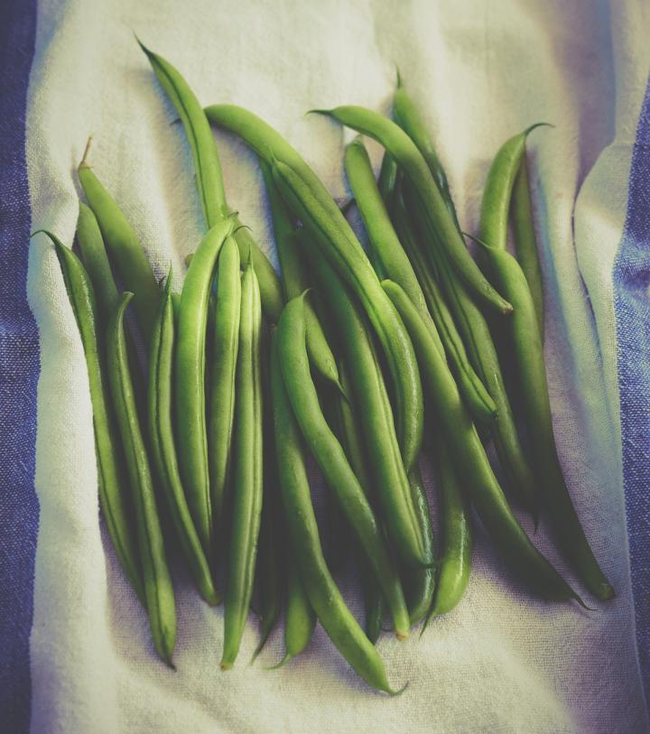 Snap Beans